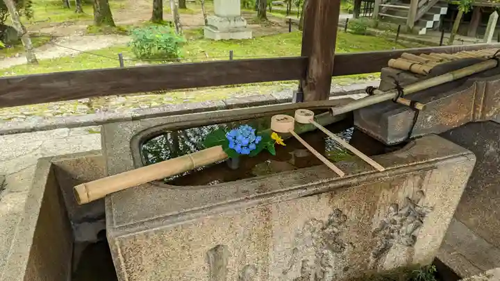 真正極楽寺(真如堂)の手水舎