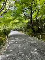 龍安寺(京都府)