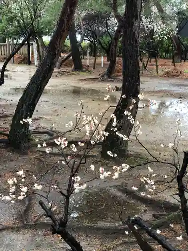 松原神社(福井県)