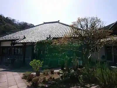 蓮乗院の本殿・本堂