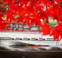 中山神社の手水舎