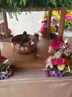 法話と天井絵の寺 観音寺(徳島県)