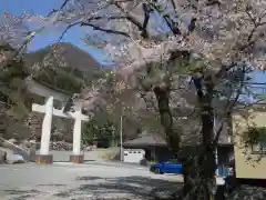 夫婦木神社姫の宮(山梨県)