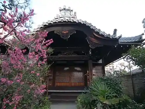 福田寺の本殿・本堂