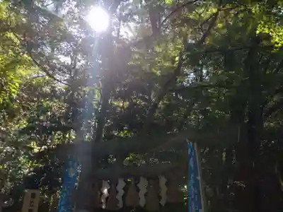 椿大神社(三重県)