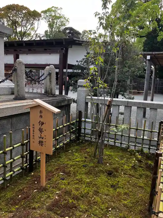 伊勢山皇大神宮の自然