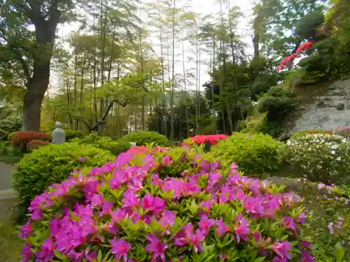 仏行寺（佛行寺）の庭園