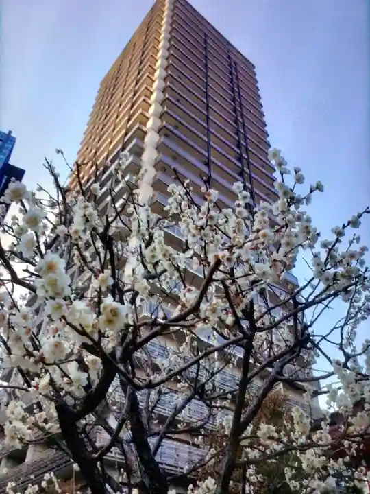 成子天神社(東京都)