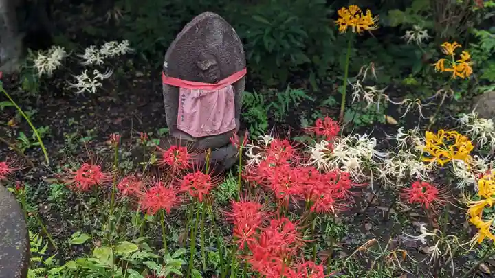常泉寺(神奈川県)