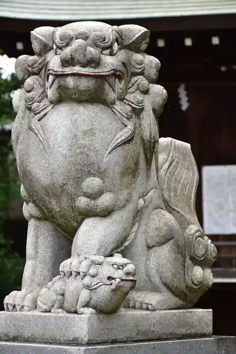 赤羽八幡神社の狛犬