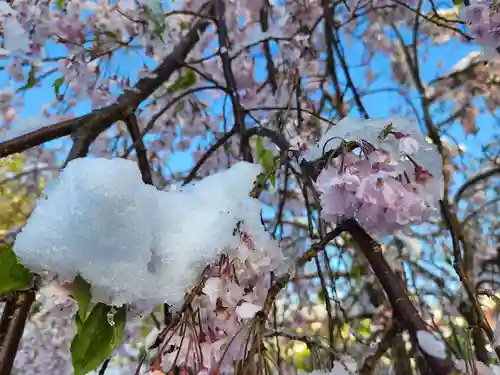 長徳寺(岩手県)