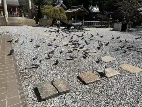 早吸日女神社(大分県)