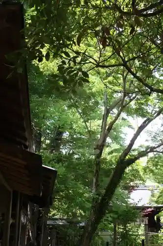 梨木神社(京都府)