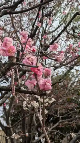 水火天満宮(京都府)