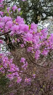 石山寺(滋賀県)