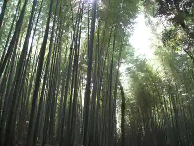 天龍寺(京都府)