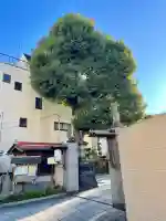 安樂寺(安楽寺)(東京都)