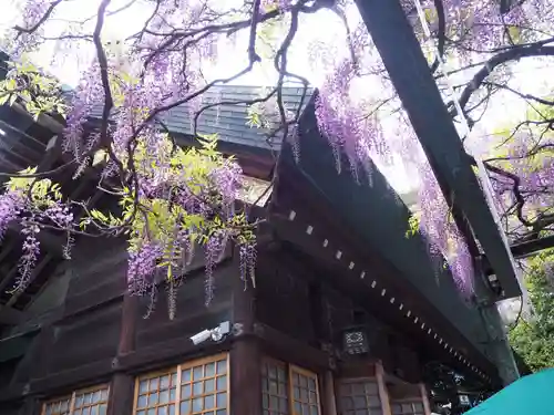 國領神社(東京都)