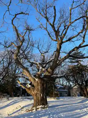 相馬神社(北海道)