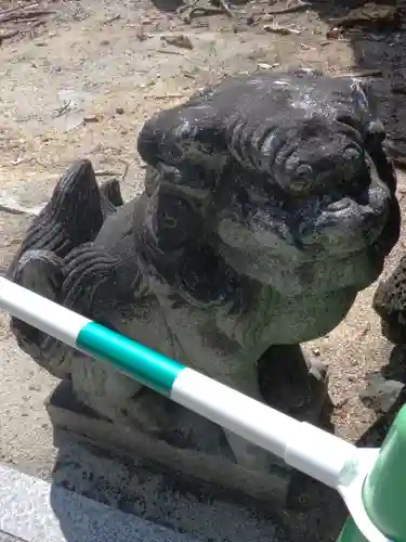 武信稲荷神社の狛犬