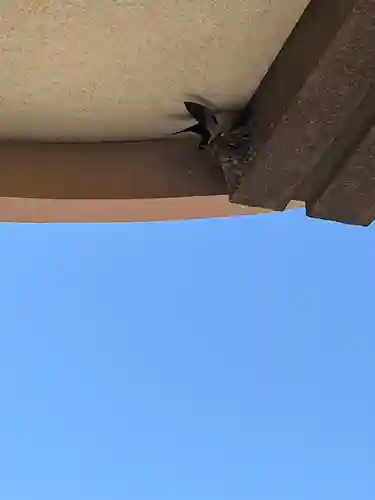 防府天満宮(山口県)