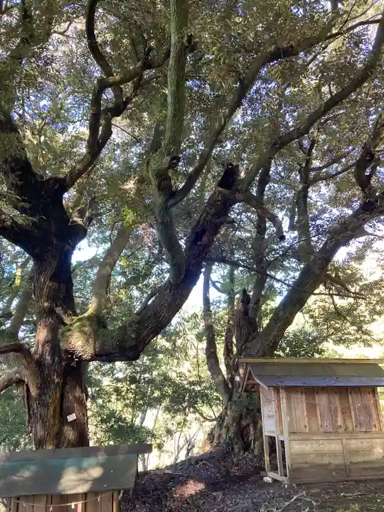 天志良波神社(茨城県)