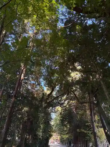 猿投神社(愛知県)