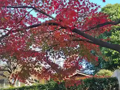 武蔵一宮氷川神社(埼玉県)