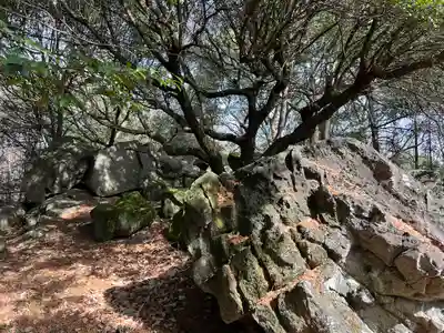 國分八幡宮(香川県)