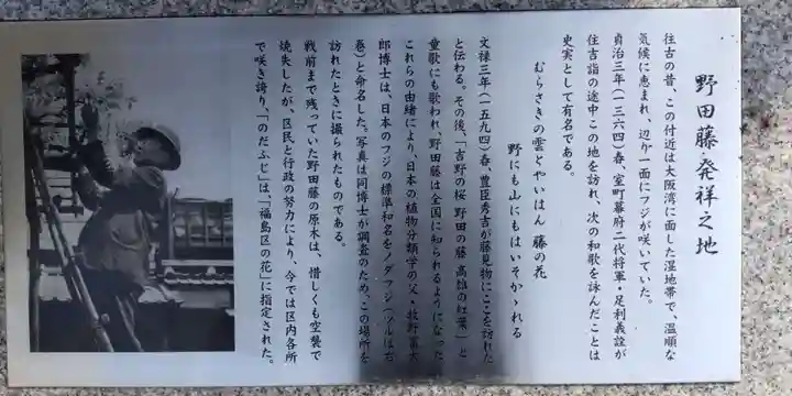 藤之宮 春日神社(野田の藤跡)(大阪府)