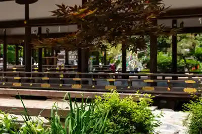 賀茂別雷神社（上賀茂神社）のお祭り