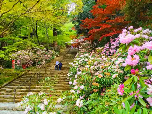 室生寺(奈良県)