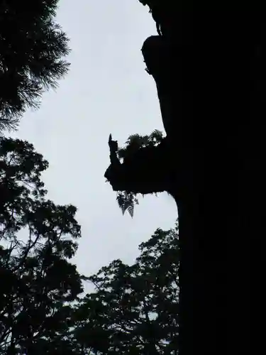 霧島神宮(鹿児島県)