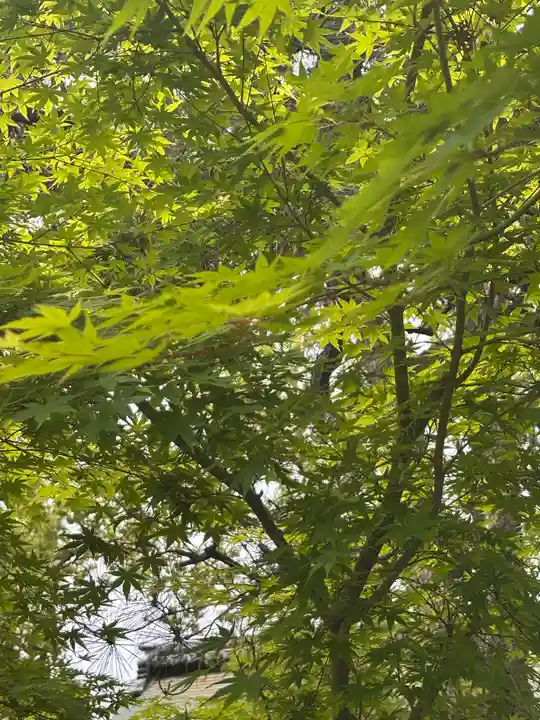 智積院(京都府)