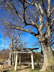 玉依比売命神社(長野県)