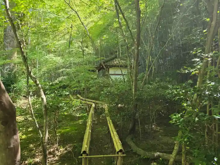 滝口寺(京都府)