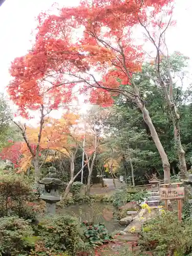 等彌神社の庭園