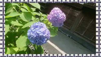 泥牛庵(神奈川県)