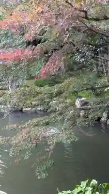 西源院(京都府)