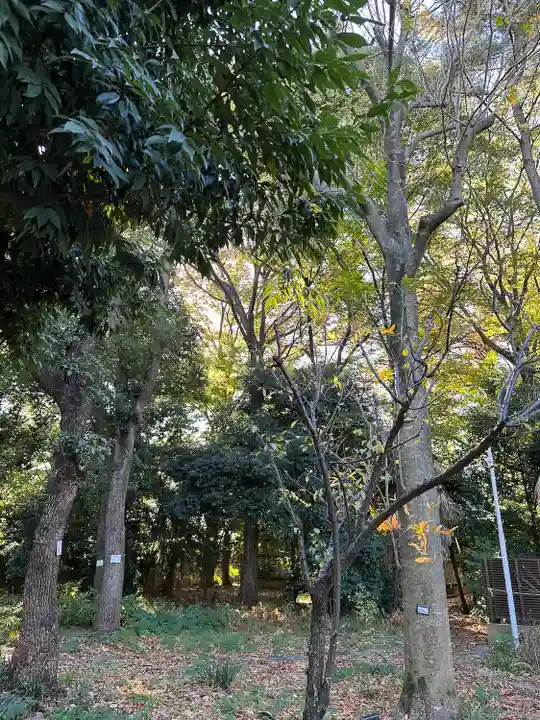 布多天神社(東京都)