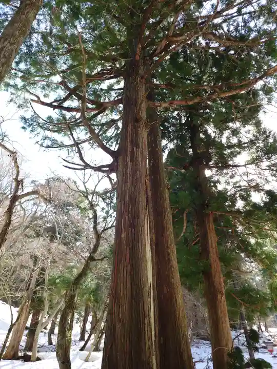 大神山神社奥宮(鳥取県)