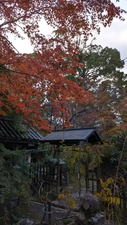 十輪寺のその他建物