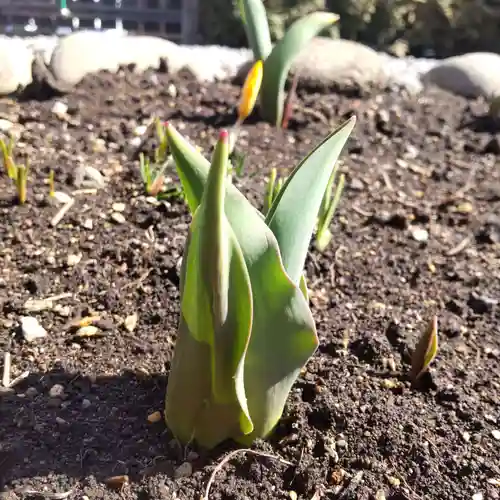 七重浜海津見神社(北海道)