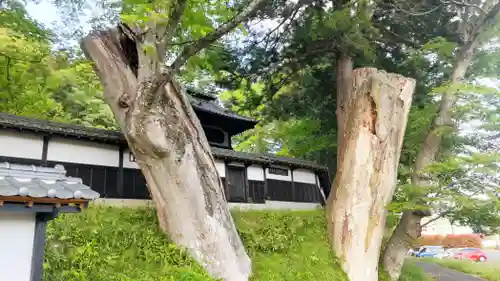 西念寺(茨城県)