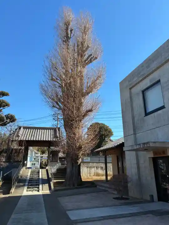 慶国寺(千葉県)