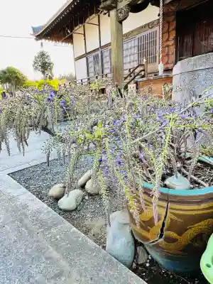 光榮寺(群馬県)