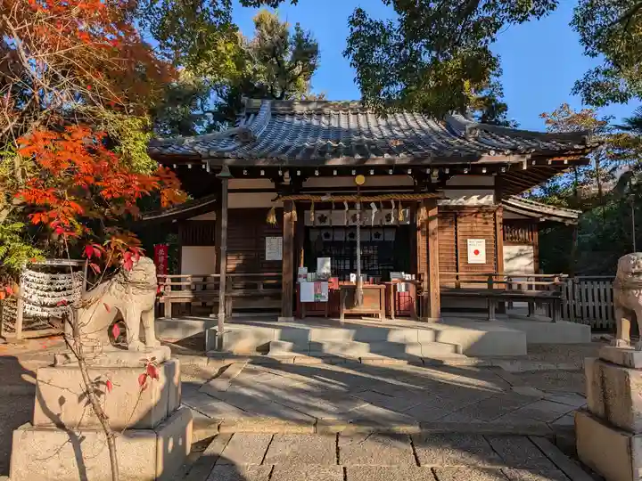 安居神社の本殿・本堂