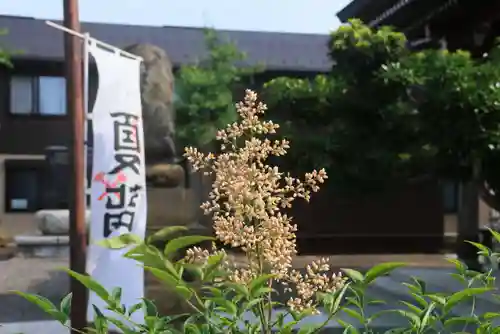 熊野福藏神社の庭園