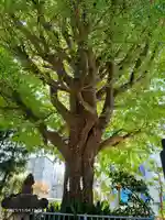 秋葉神社の自然
