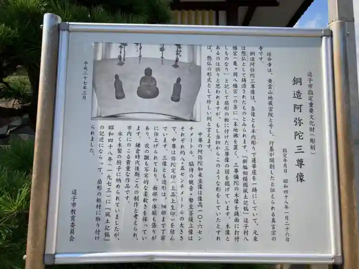 延命寺(逗子大師延命寺)の歴史